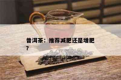 普洱茶：推荐减肥还是增肥？