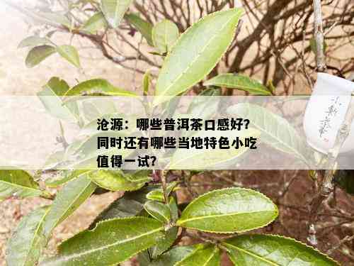 沧源：哪些普洱茶口感好？同时还有哪些当地特色小吃值得一试？