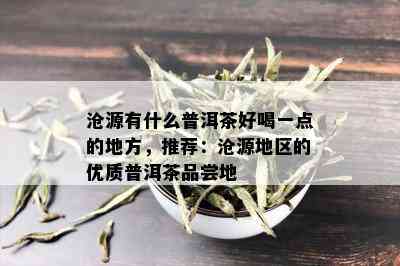 沧源有什么普洱茶好喝一点的地方，推荐：沧源地区的优质普洱茶品尝地