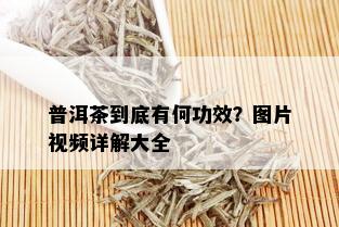 普洱茶到底有何功效？图片视频详解大全