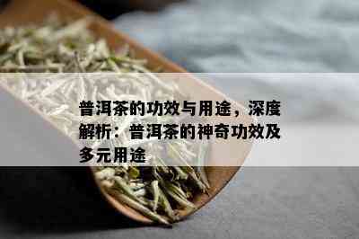 普洱茶的功效与用途，深度解析：普洱茶的神奇功效及多元用途