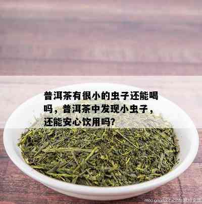 普洱茶有很小的虫子还能喝吗，普洱茶中发现小虫子，还能安心饮用吗？