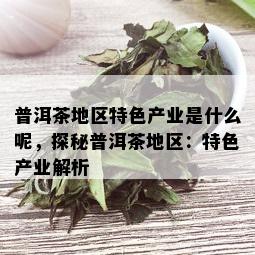 普洱茶地区特色产业是什么呢，探秘普洱茶地区：特色产业解析