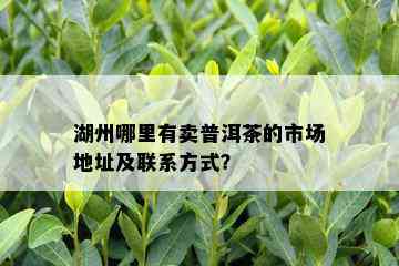 湖州哪里有卖普洱茶的市场地址及联系方式？