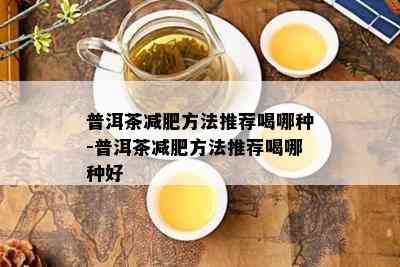 普洱茶减肥方法推荐喝哪种-普洱茶减肥方法推荐喝哪种好