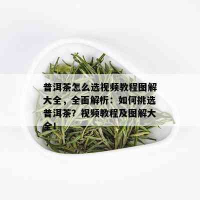 普洱茶怎么选视频教程图解大全，全面解析：如何挑选普洱茶？视频教程及图解大全！