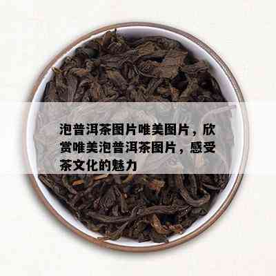 泡普洱茶图片唯美图片，欣赏唯美泡普洱茶图片，感受茶文化的魅力