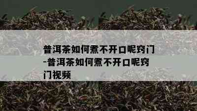 普洱茶如何煮不开口呢窍门-普洱茶如何煮不开口呢窍门视频