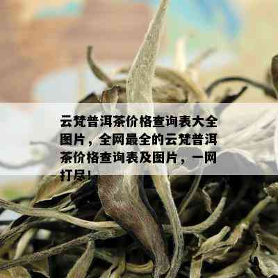 云梵普洱茶价格查询表大全图片，全网最全的云梵普洱茶价格查询表及图片，一网打尽！