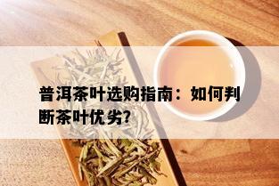 普洱茶叶选购指南：如何判断茶叶优劣？