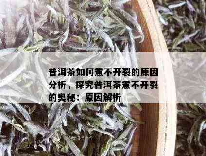 普洱茶如何煮不开裂的原因分析，探究普洱茶煮不开裂的奥秘：原因解析