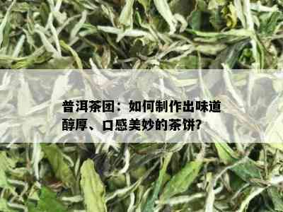 普洱茶团：如何制作出味道醇厚、口感美妙的茶饼？