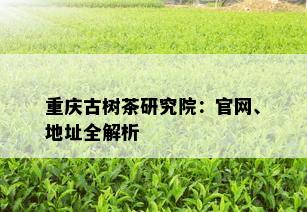 重庆古树茶研究院：官网、地址全解析