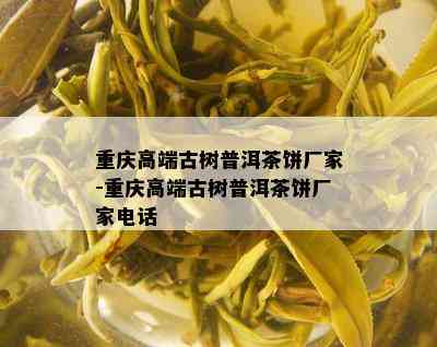 重庆高端古树普洱茶饼厂家-重庆高端古树普洱茶饼厂家电话