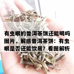 有虫眼的普洱茶饼还能喝吗图片，解惑普洱茶饼：有虫眼是否还能饮用？看图解析