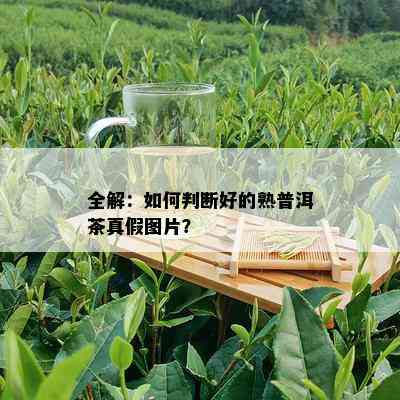 全解：如何判断好的熟普洱茶真假图片？