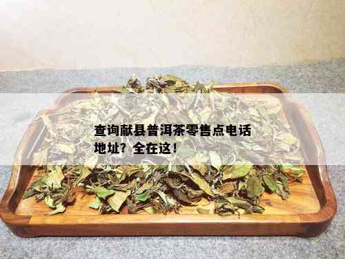 查询献县普洱茶零售点电话地址？全在这！