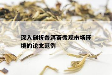 深入剖析普洱茶微观市场环境的论文范例