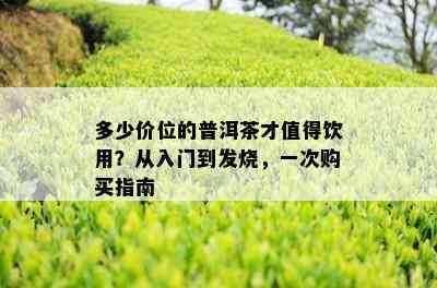 多少价位的普洱茶才值得饮用？从入门到发烧，一次购买指南