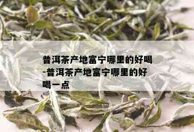 普洱茶产地富宁哪里的好喝-普洱茶产地富宁哪里的好喝一点