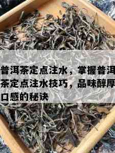 普洱茶定点注水，掌握普洱茶定点注水技巧，品味醇厚口感的秘诀