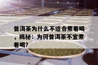 普洱茶为什么不适合煮着喝，揭秘：为何普洱茶不宜煮着喝？