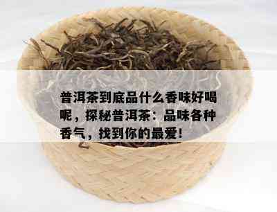 普洱茶到底品什么香味好喝呢，探秘普洱茶：品味各种香气，找到你的更爱！