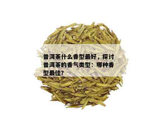 普洱茶什么香型更好，探讨普洱茶的香气类型：哪种香型更佳？