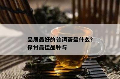 品质更好的普洱茶是什么？探讨更佳品种与