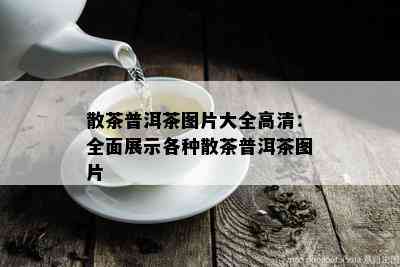 散茶普洱茶图片大全高清：全面展示各种散茶普洱茶图片