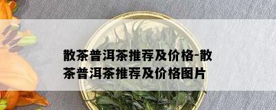 散茶普洱茶推荐及价格-散茶普洱茶推荐及价格图片