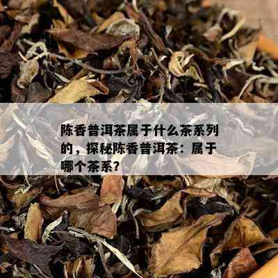 陈香普洱茶属于什么茶系列的，探秘陈香普洱茶：属于哪个茶系？