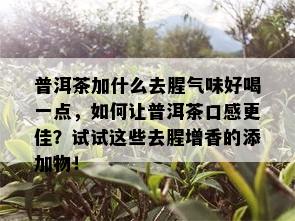 普洱茶加什么去腥气味好喝一点，如何让普洱茶口感更佳？试试这些去腥增香的添加物！