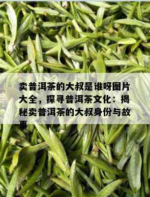 卖普洱茶的大叔是谁呀图片大全，探寻普洱茶文化：揭秘卖普洱茶的大叔身份与故事