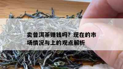 卖普洱茶赚钱吗？现在的市场情况与上的观点解析