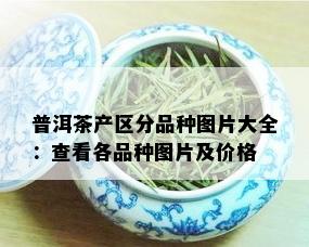 普洱茶产区分品种图片大全：查看各品种图片及价格