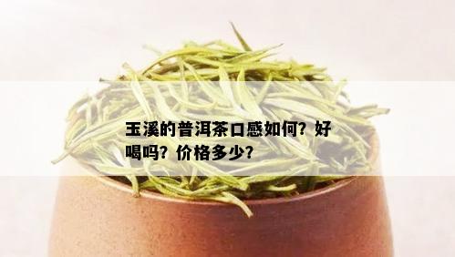 玉溪的普洱茶口感如何？好喝吗？价格多少？