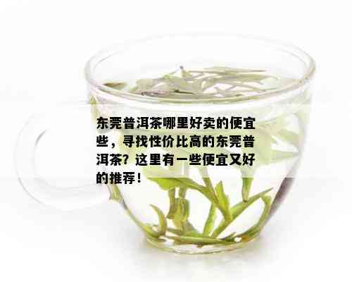 东莞普洱茶哪里好卖的便宜些，寻找性价比高的东莞普洱茶？这里有一些便宜又好的推荐！