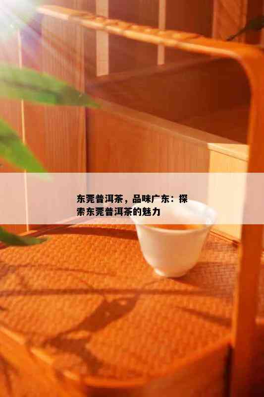 东莞普洱茶，品味广东：探索东莞普洱茶的魅力