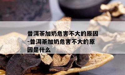 普洱茶加奶危害不大的原因-普洱茶加奶危害不大的原因是什么