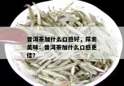 普洱茶加什么口感好，探索美味：普洱茶加什么口感更佳？