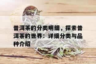 普洱茶的分类明细，探索普洱茶的世界：详细分类与品种介绍