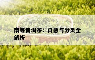 南等普洱茶：口感与分类全解析