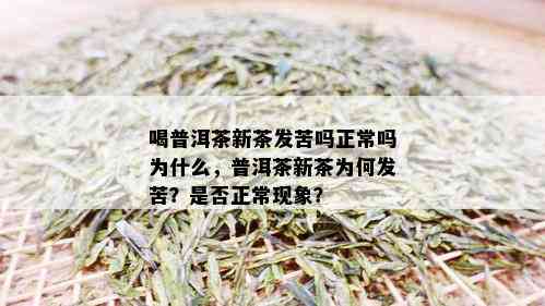 喝普洱茶新茶发苦吗正常吗为什么，普洱茶新茶为何发苦？是否正常现象？