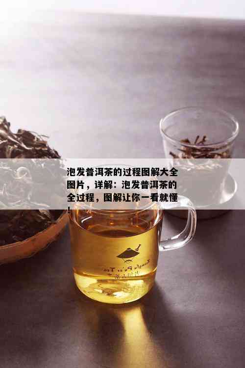 泡发普洱茶的过程图解大全图片，详解：泡发普洱茶的全过程，图解让你一看就懂！