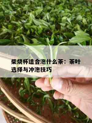 柴烧杯适合泡什么茶：茶叶选择与冲泡技巧