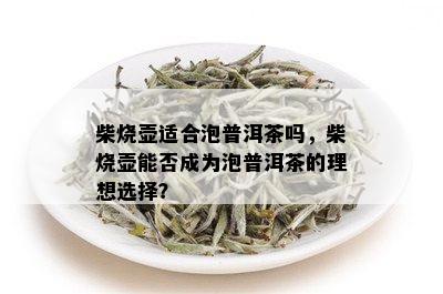 柴烧壶适合泡普洱茶吗，柴烧壶能否成为泡普洱茶的理想选择？