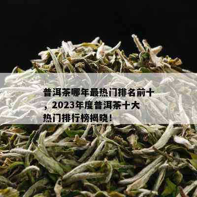 普洱茶哪年最热门排名前十，2023年度普洱茶十大热门排行榜揭晓！