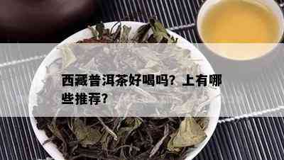  *** 普洱茶好喝吗？上有哪些推荐？