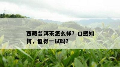  *** 普洱茶怎么样？口感如何，值得一试吗？